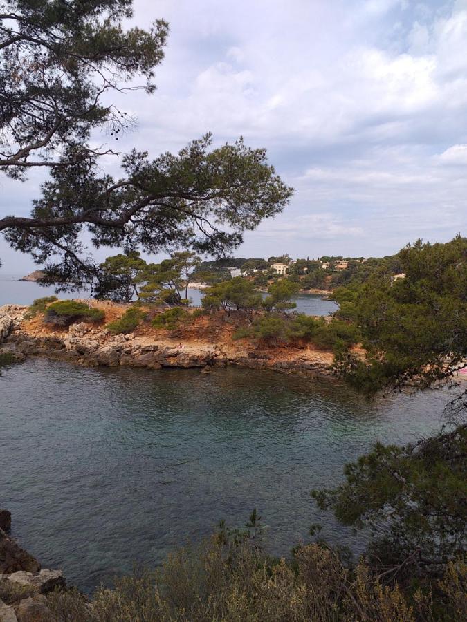 Joli Studio Res Au Calme En Rez De Jardin A Bandol. Exterior foto